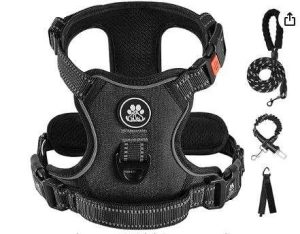 ARNÉS SIN TIRONES PARA PERROS PEQUEÑOS, CON CHALECO,CINTURÓN DE SEGURIDAD TOTALMENTE AJUSTABLE IVY&