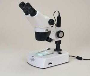 WOLFE STEREOPRO™ ADVANCED STEREOMICROSCOPE #591985 CAROLINA BIOLOGICAL