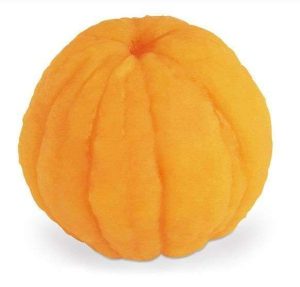 MODELO NARANJA PEQUENA PELADA W05829 NASCO