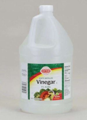 VINAGRE 3.8L CAROLINA BIOLOGICAL #898112