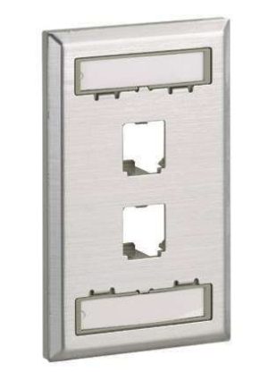 PANDUIT 2 PORT FLUS MOUNT  SINGLE STAINLESS CFPL2SY