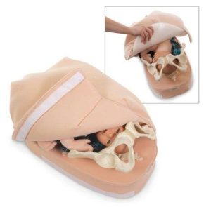 MODELO PALPACION ABDOMINAL SB23476U NASCO