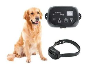 COLLAR PERRO VALLA PERIMETRAL IMPERMEABLE IP66 CEVENE