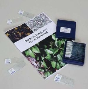 LAMINA FIJA BACTERIAS HONGOS Y PLANTAS 292595