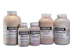CALDO NUTRITIVO, MEDIO DESHIDRATADO, 100G. #785360 CAROLINA BIOLOGICAL.