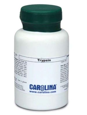 TRIPSINA, GRADO DE LABORATORIO, 25 G CAROLINA BIOLOGICAL 897000