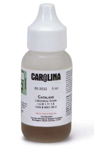 CATALASA, GRADO QUÍMICO DE LABORATORIO 5ML CAROLINA BIOLOGICAL 853532