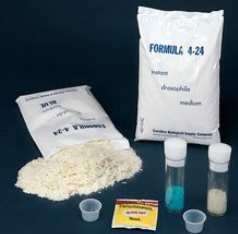 #173210 FORMULA 4-24 (R) BLUE
