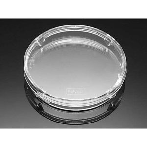 PLACA DE PETRI BACTERIOLOGICA, 35MM, SIN TRATAMIENTO TC 3488N10 THOMAS SCIENTIFIC