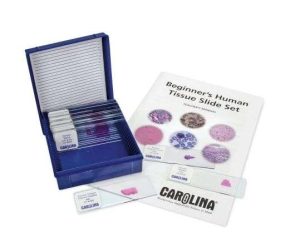 PORTAOBJETOS MICROSCOPIO TEJIDO HUMANO 311968 PRINCIPIANTES
