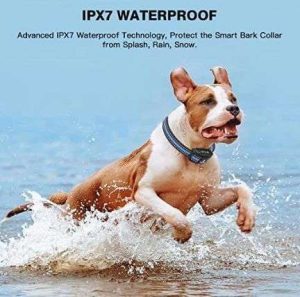COLLAR PERRO ANTILADRIDOS RECARGABLE LAPCOM 10110000