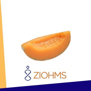MODELO MELÓN 1/4 NASCO WA03488