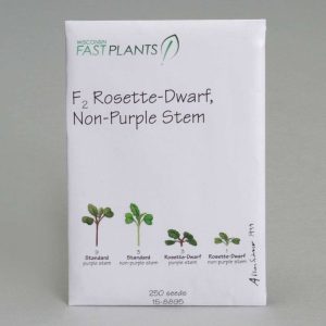 "SEMILLAS DE PLANTA ""F2 ROSETTE-DWARF"", TALLO NO MORADO, PAQUETE DE 250 158895 CAROLINA BIOLOGICAL
