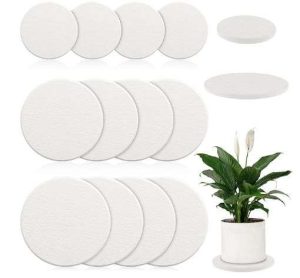 PLATO ABSORBENTE PARA PLANTAS DIATOMEAS 4/6/8" PAQ. 12 UNIDADES ZB-241022-1