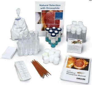 NATURAL SELECTION W/DROSOPHIA KIT # 171995P