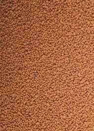 ALIMENTOS PARA LARVAS, DIETA C2, 4,4LB T2940 PENTAIR