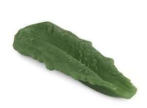 MODELO LECHUGA ROMANA WA22097HR NASCO