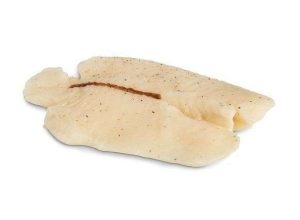 MODELO TILAPIA DE PESCADO WA24142 NASCO