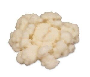 MODELO COLIFLOR WA07367 NASCO
