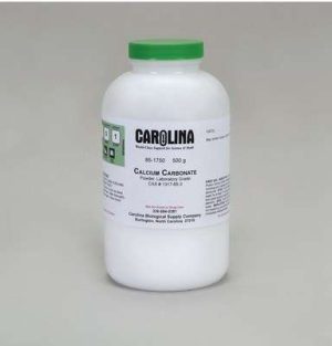 CARBONATO DE CALCIO 500G 851750 CAROLINA BIOLOGICAL