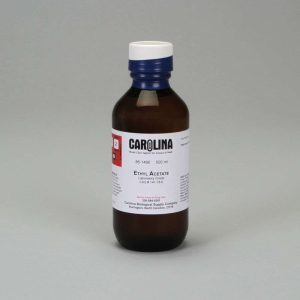ETANOATO DE ETILO, 500 ML 861490 CAROLINA BIOLOGICAL