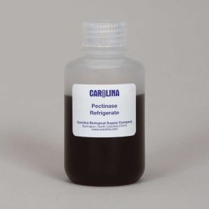 PECTINASA 100ML 202380 CAROLINA BIOLOGICAL