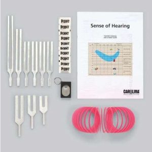 KIT PARA EL SENTIDO DEL OIDO 694742 CAROLINA
