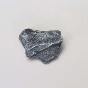 SLATE, PAQUETE DE 10 GEO2084B CAROLINA BIOLOGICAL