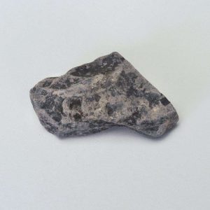 SHALE GRIS, PAQUETE DE 10 GEO2020B CAROLINA BIOLOGICAL