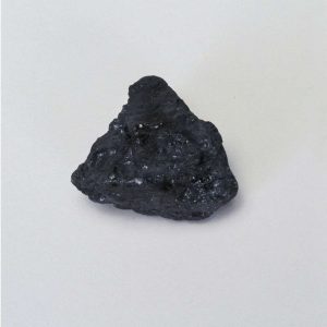 CARBON BITUMINOSO, PAQUETE DE 10 GEO1188B CAROLINA BIOLOGICAL