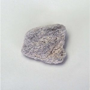 PIEDRA POMEZ GRIS, PK 10 #GEO1130B. CAROLINA BIOLOGICAL