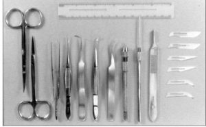 KIT DISECCION # 4761 BIOQUIP