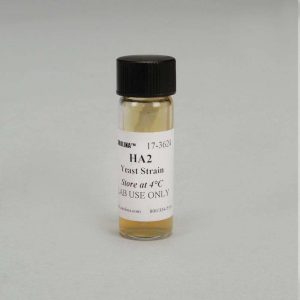 LEVADURA DE CERVEZA, CEPA HA2, A, ADE2 173624 CAROLINA BIOLOGICAL