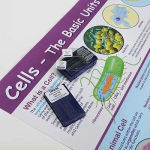LAMINA FIJA CELLS UNITS OF LIFE SLIDE AND POSTER SET 292101