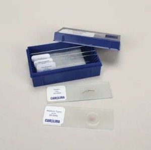 LAMINA FIJA MONERA KINGDOM SET 292696