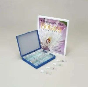 LAMINA FIJA BOTANY ATLAS AND SLIDE SET 292606