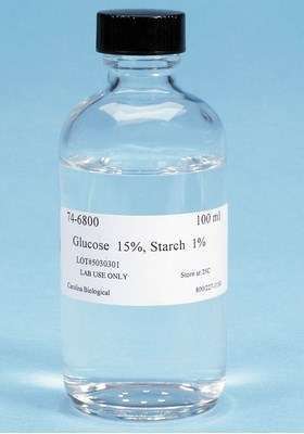 GLUCOSE STARCH 100ML #746800. CAROLINA BIOLOGICAL