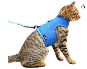 ARNÉS Y CORREA PARA GATOS PARA CAMINAR, TELA DE MALLA TRANSPIRABLE A PRUEBA DE ESCAPES