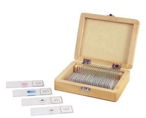 KIT CELESTRON DE PORTAOBJETOS DE MICROSCOPIO PREPARADO DE 25 PIEZAS. #44410