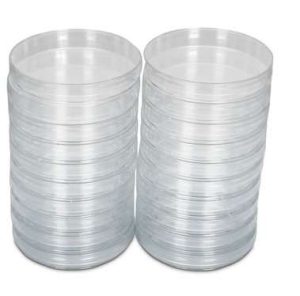 DISH,PETRI,100X15MM,PK/20 #971632 CAROLINA BIOLOGICAL