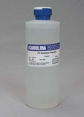 SOLUTION, AMMONIA, 250 ML #972157 CAROLINA BIOLOGICAL