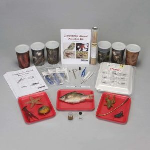 KIT COMPARTIVO DE DISECCIONES ANIMALES 221030 CAROLINA BIOLOGICAL
