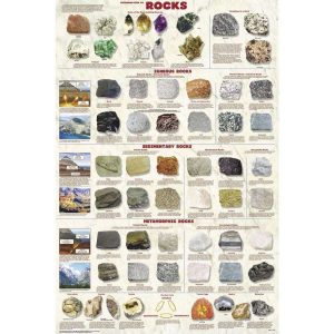 POSTER INTRODUCCION A LAS ROCAS 575119 CAROLINA BIOLOGICAL
