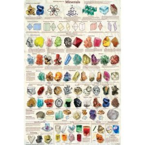 POSTER INTRODUCCION A LOS MINERALES 575121 CAROLINA BIOLOGICAL