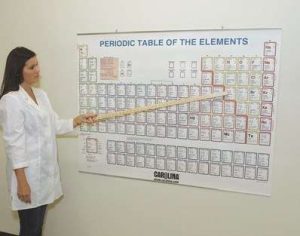 PERIODIC TABLE WITH ALUMINIUM 579618 CAROLINA BIOLOGICAL
