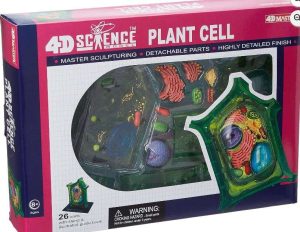 MODELO DE ANATOMÍA DE CÉLULAS VEGETALES DE CIENCIA 4D FAMEMASTER