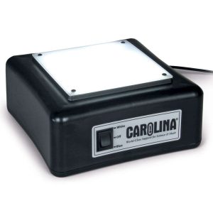 CAJA DE LUZ LED 213694 CAROLINA BIOLOGICAL
