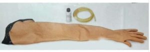ADULT VENIPUNCTURE Y INJECTION TRAINING ARM, LF00698
