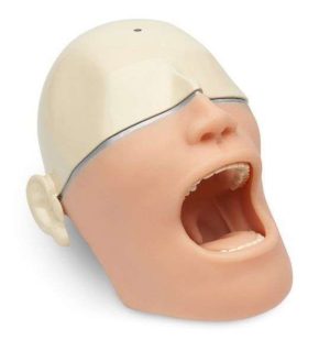 MODELO PRACTICA ANESTESIA ORAL SB50100 NASCO