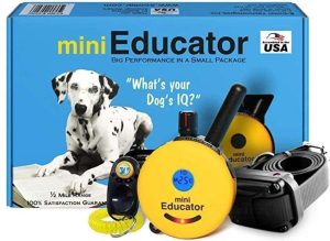 COLLAR PERRO ELECTRONICO PARA EDUCAR PERROS EDUCATOR ET-300